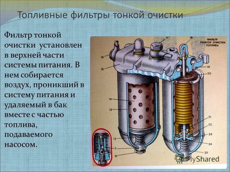 Очистка д т. Устройство топливный фильтр тонкой очистки дизеля д243. Дизельный топливный фильтр грубой очистки д243. Фильтры грубой очистки топлива система питания дизельного ДВС. Фильтр грубой очистки топлива двигателя д 243.