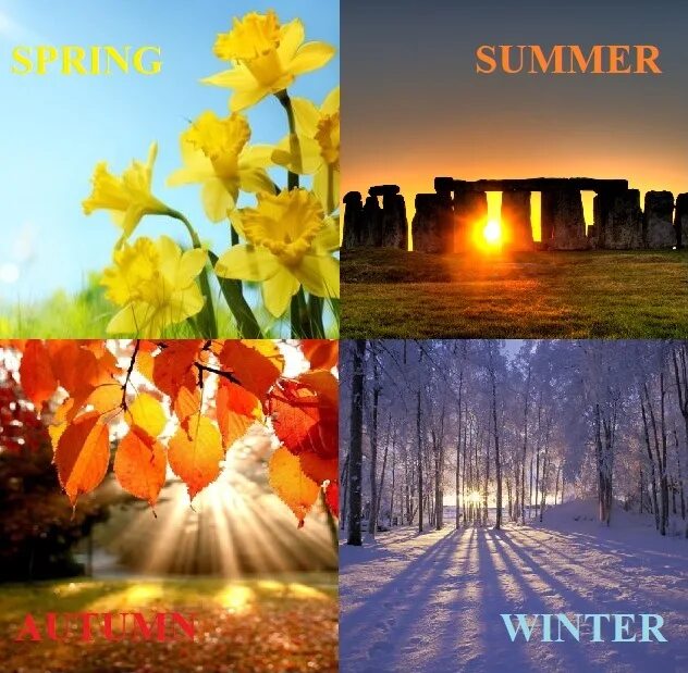 Spring is than winter. Осень зима Весна лето и снова осень. Лето. Осень. Зима Весна. 2022. Зима Весна лето осень сериал. Зима Весна лето осень одним словом.