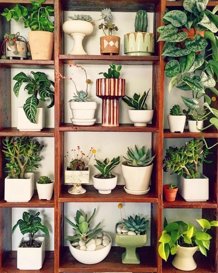 Пин от пользователя Jerldine Randolph на доске ❁ ❁ ❁ ❁ ❁ Flower Pots ❁ ❁ ❁ ❁ ❁ Ц
