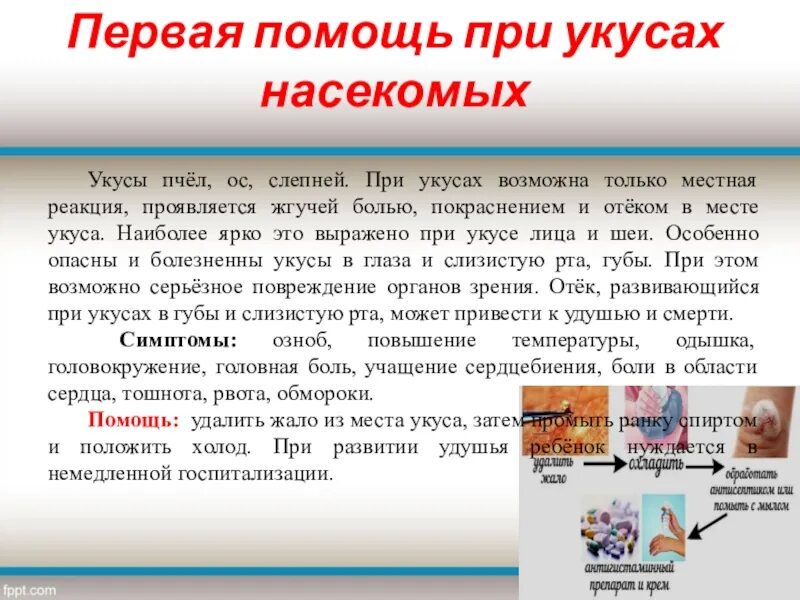 Можно ли пить при укусе осы. Первая помощь при укусе пчелы. 1 помощь при укусе пчелы. первая медицинская помощь при укусе пчелы осы.