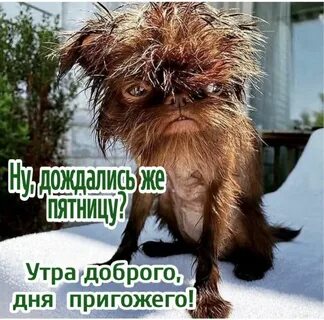 Мое состояние в конце года