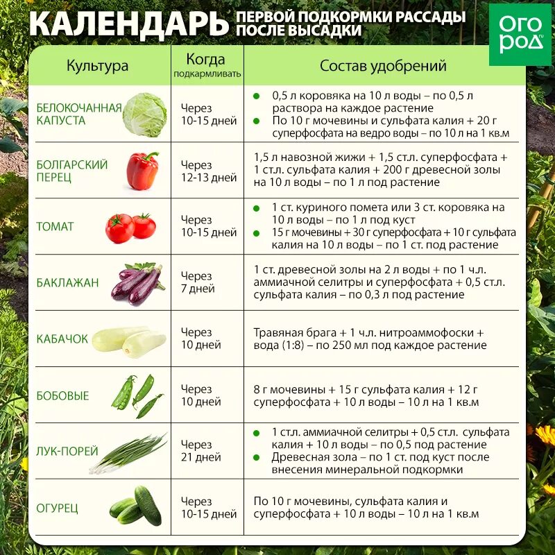 Со скольки месяцев можно огурец