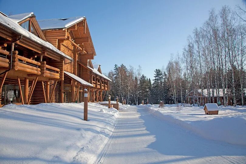 Загородный отель в лесу. Эко отель на волге. Романовский лес. Романовский лес. Эко отель на волге.