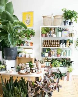 Store plants