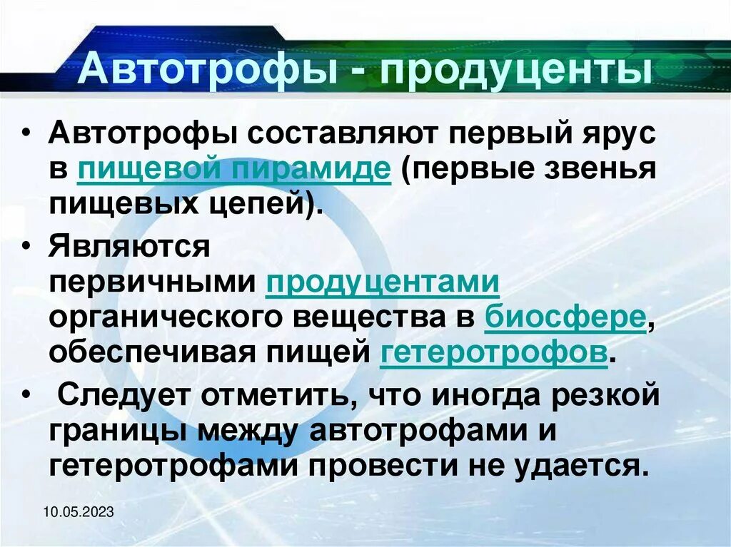 Автотрофы. Продуценты автотрофы. Автотрофы это в биологии. Автотрофы в биосфере. Автотрофы что это