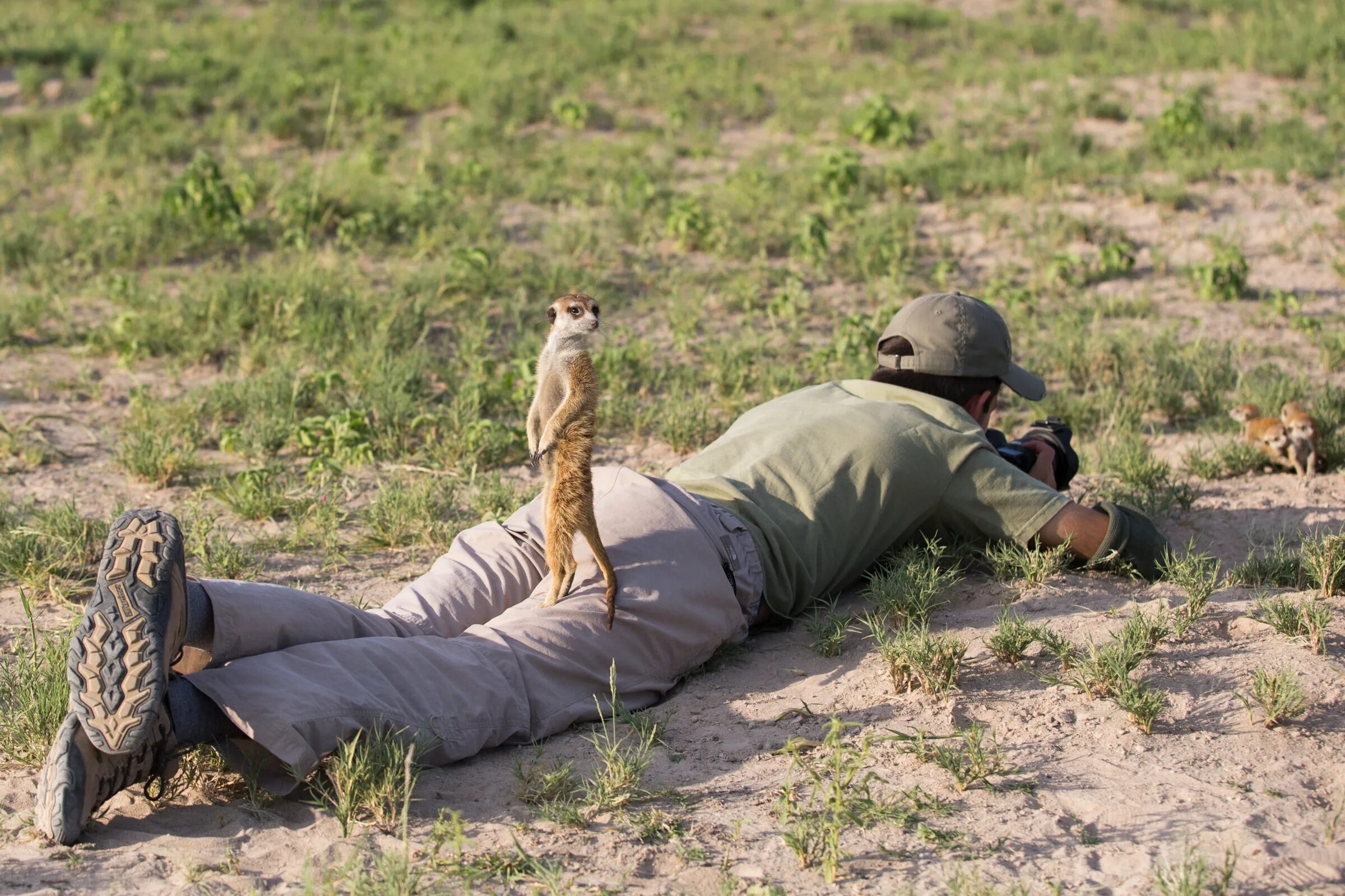 Финалисты comedy wildlife photography awards. Приветольные животные. Фотографирует животных. Чудеса природы. Прикольные фото на природе.