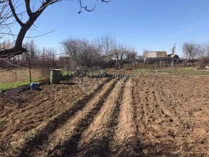 Рахинка среднеахтубинский волгоградская область