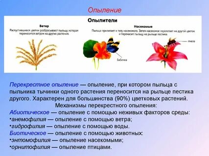 Таблица опыление растений