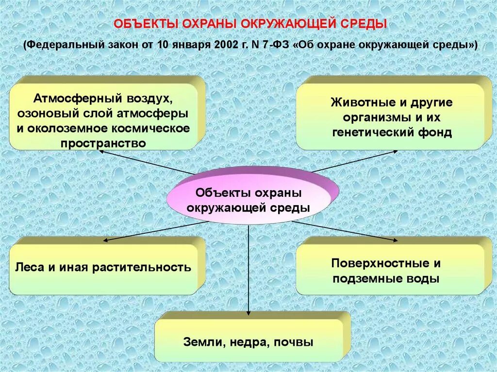 Перечислите объекты охраны