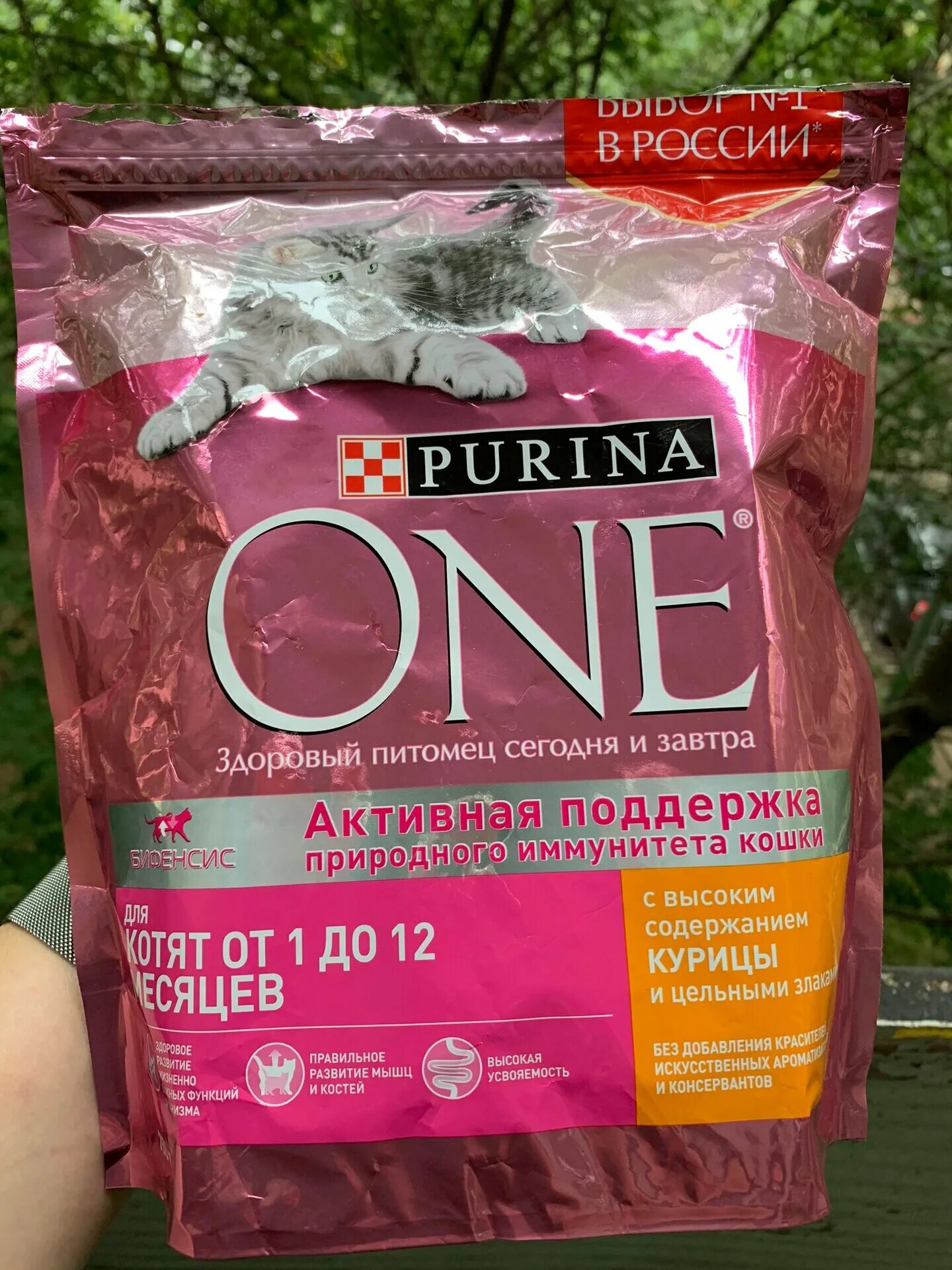 корм пурина ван для взрослых кош. корм пурина ван для стерилизованных кошек состав. корма фирмы пурина. пурина отзывы. корм пурина ван для кошек паучи.