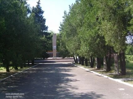 Запорожская область васильевка последние