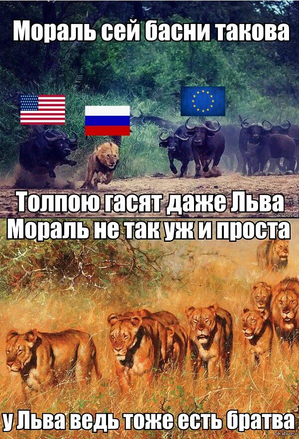 Цитаты про толпу
