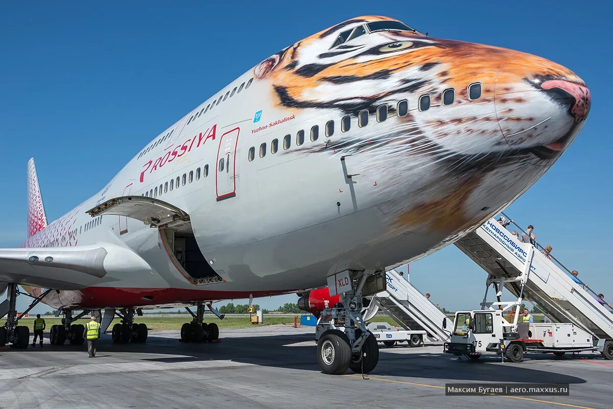 Самолет россия видео. Боинг 747 Тигролет. Боинг 737 Тигролет. Боинг 747 Тигролет Россия. Боинг 747 Тигролет салон.