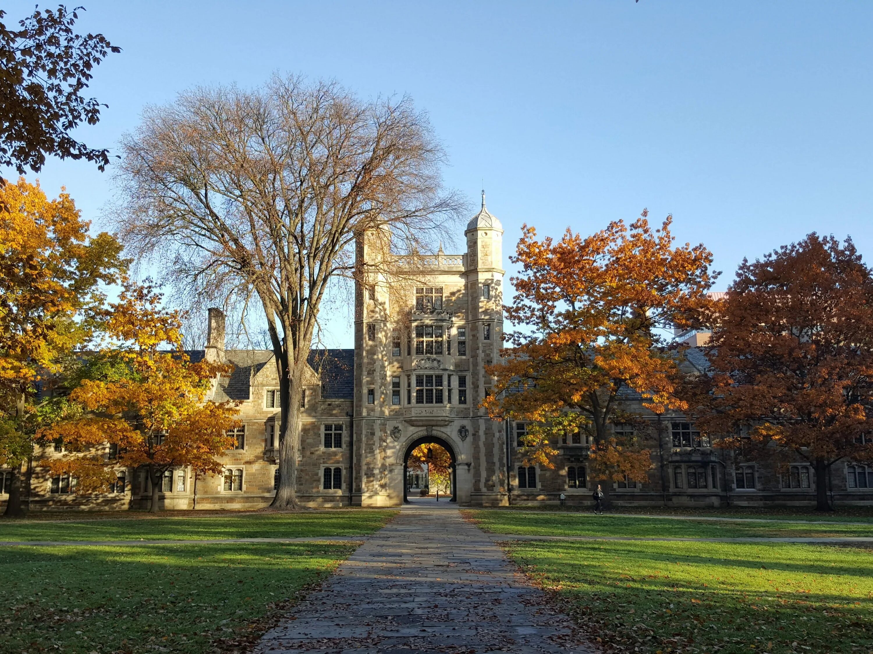 The oldest university