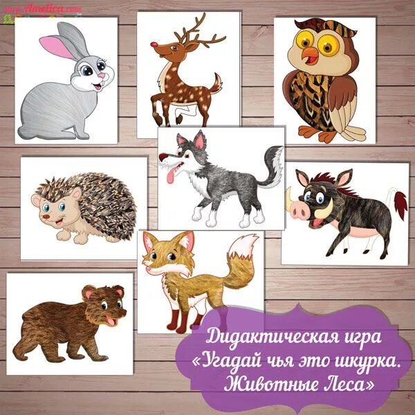 Красная игра чья. Чья шкурка дидактическая игра. Дикие животные игры для детей. Чей хвостик дидактическая игра. Дидактическая игра Угадай чья шкурка.