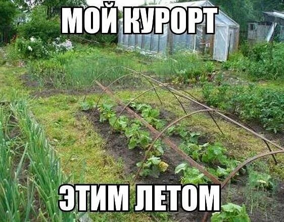 Меньше огорода, больше воды. Дача для отдыха. - DRIVE2