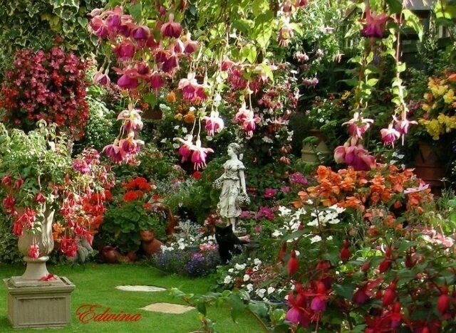 Wallpaper greens, grass, trees, flowers, design, garden, Canada, Vancouver for m
