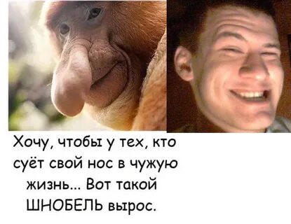 У них жизнь вот такой