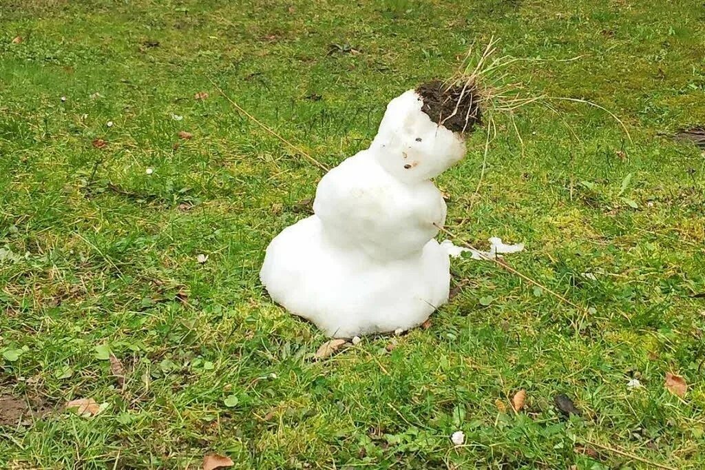 Растаявший снеговик. Снеговик тает. Подтаявший Снеговик.