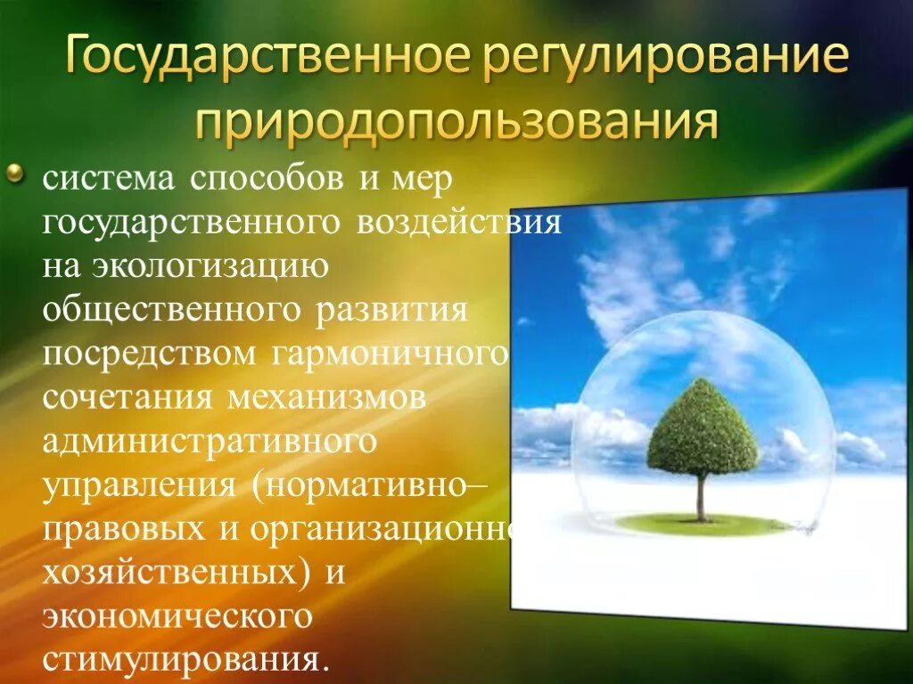 Государственное управление использования и охраны природного ресурса. Регулирование природопользования. Государственное регулирование природопользования. Методы государственного регулирования природопользования. Регулирование природопользования презентация.