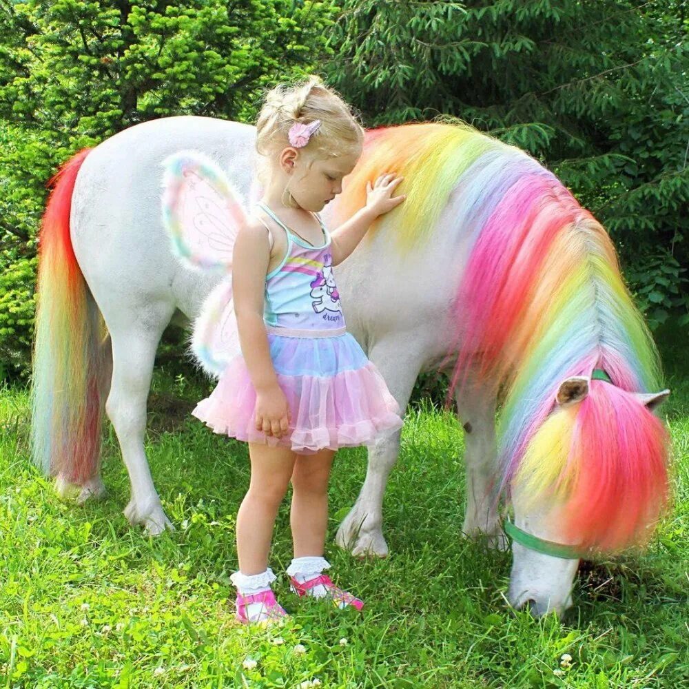 Радужный Единорог. Лошади и пони. Радужные лошадки. Лошадь с радужной гривой. Включи единорог пони