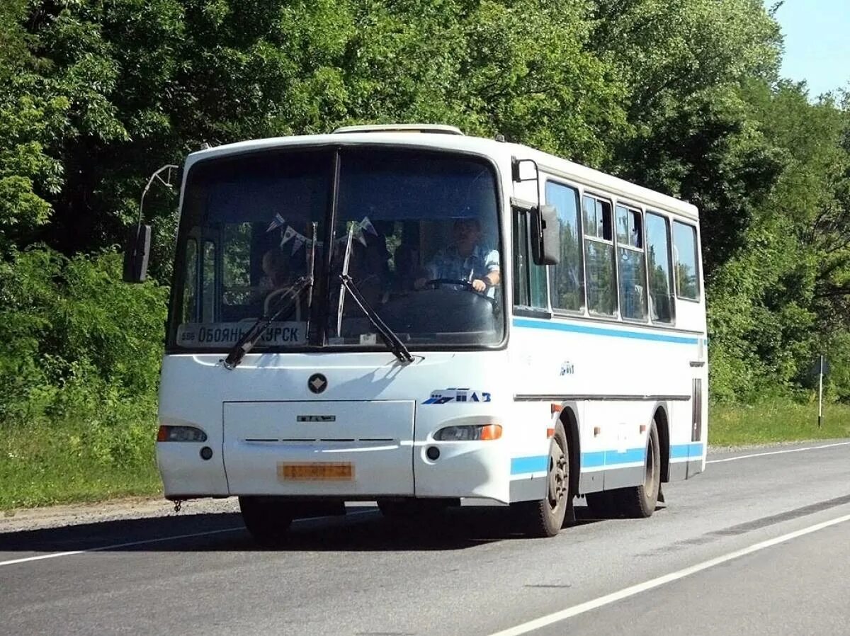Россошь-белгород. Автобус курск белая через обоянь. Автобус курск белая через обоянь. Автобусы в обояни. Автобус курск белая через обоянь.