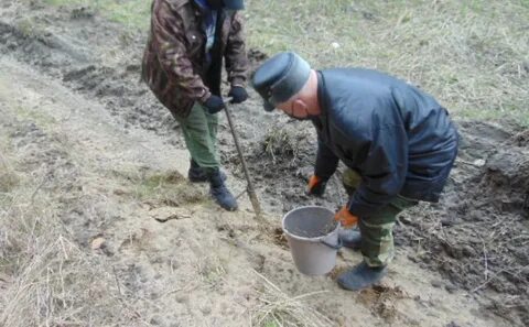 Чувашское лесничество