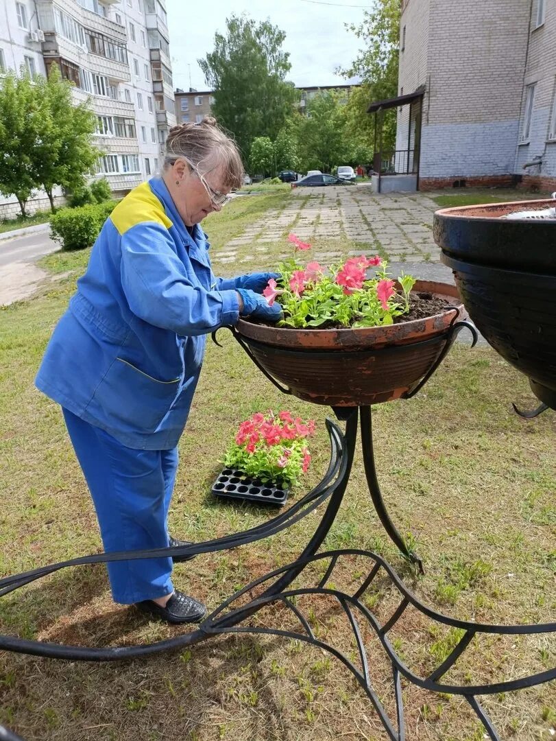 МБУ благоустройство Павловский Посад. Благоустройство Павловский Посад. Благоустройство клумб. Украшение клумбы. Сотрудники муниципального бюджетного учреждения