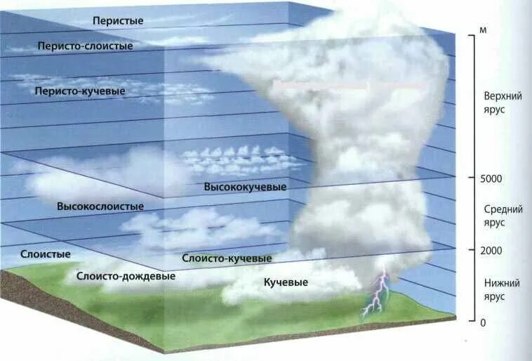 Высотой от 0 7 до. Виды облаков. DLS J,kfrjd. Высота облаков. Абак виды.