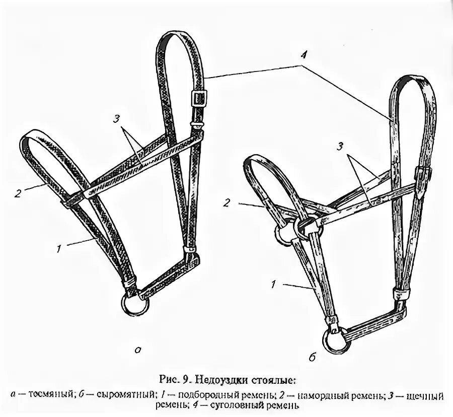 У миколы узда