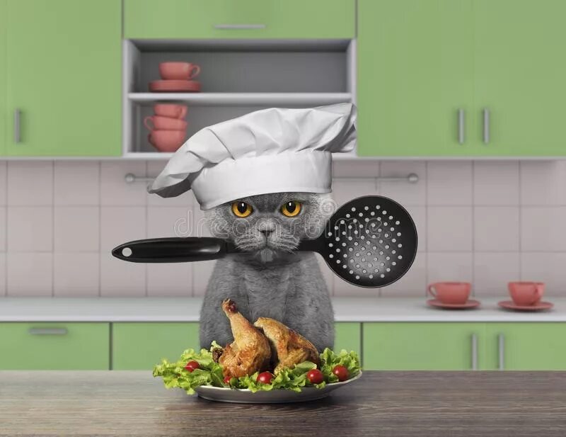 Cooking cat. Кошка официант. Котик кашевар. Кашевар кота с подносом суш. Кот ждёт официанта.