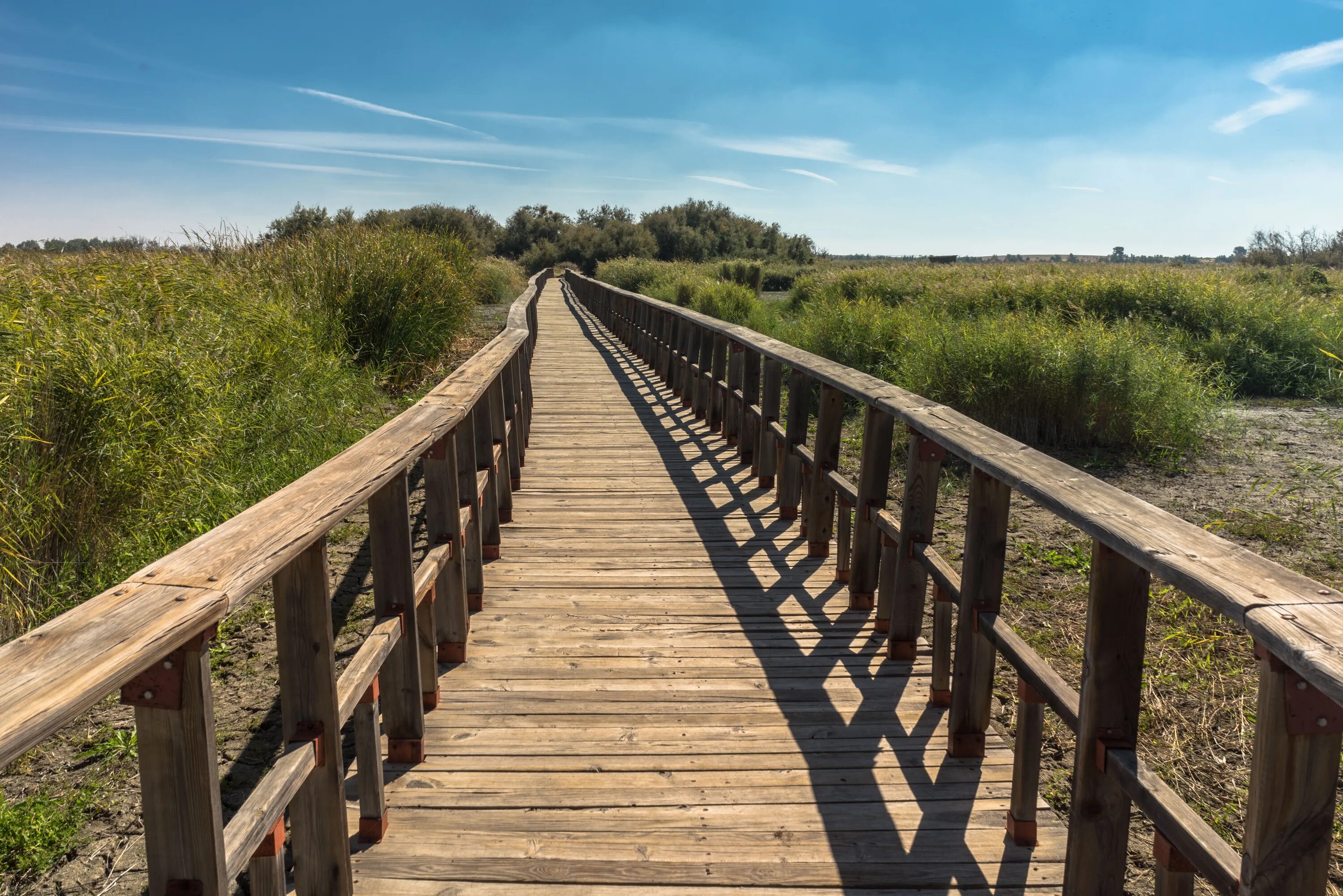 Path to image