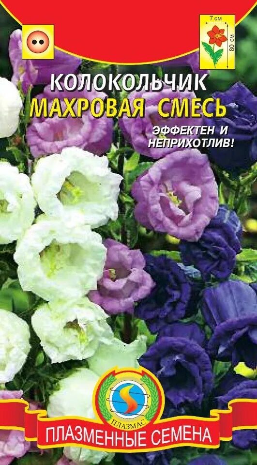 Семена колокольчика махрового. Колокольчик средний махровый смесь. Колокольчик средний двулетник. Колокольчик средний махровая смесь Агрэкс. Кампанула махровая смесь.