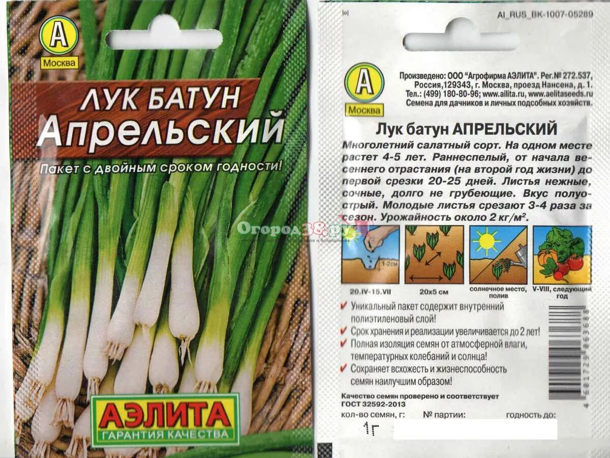 Лук батун апрельский описание сорта фото