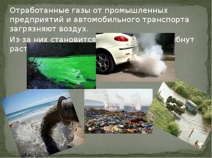 Какой вид транспорта меньше загрязняет окружающую среду