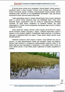 Когда можно начинать ловить