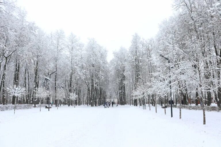 Липецк достопримечательности зимой. Липецк зимой. Парк сокол липецк. Парки в липецке зимой. Нижний парк липецк зимой.