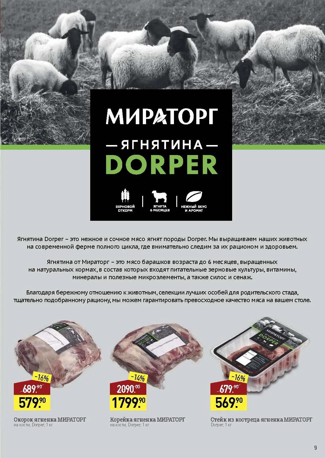 Ягнятина Мираторг. Ягнятина Дорпер Мираторг. Dorper Мираторг. Ягненок Мираторг. Мобильное приложение мираторг