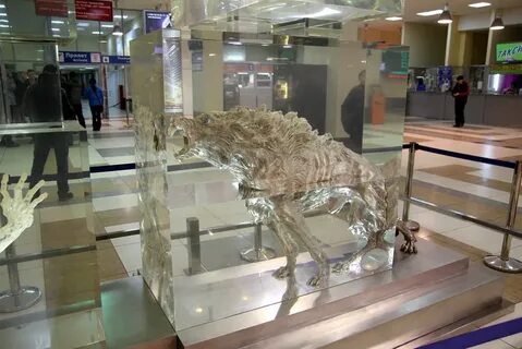 Есть ли курилка в аэропорту новосибирска