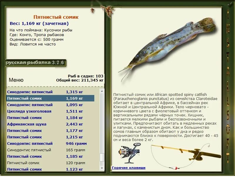 Русская рыбалка пятнистый сомик. Русская рыбалка хромис золотистый. Русская рыбалка Харацин-разбойник. Русская рыбалка 3 6 Конго Африканская щука. Русская рыбалка 376