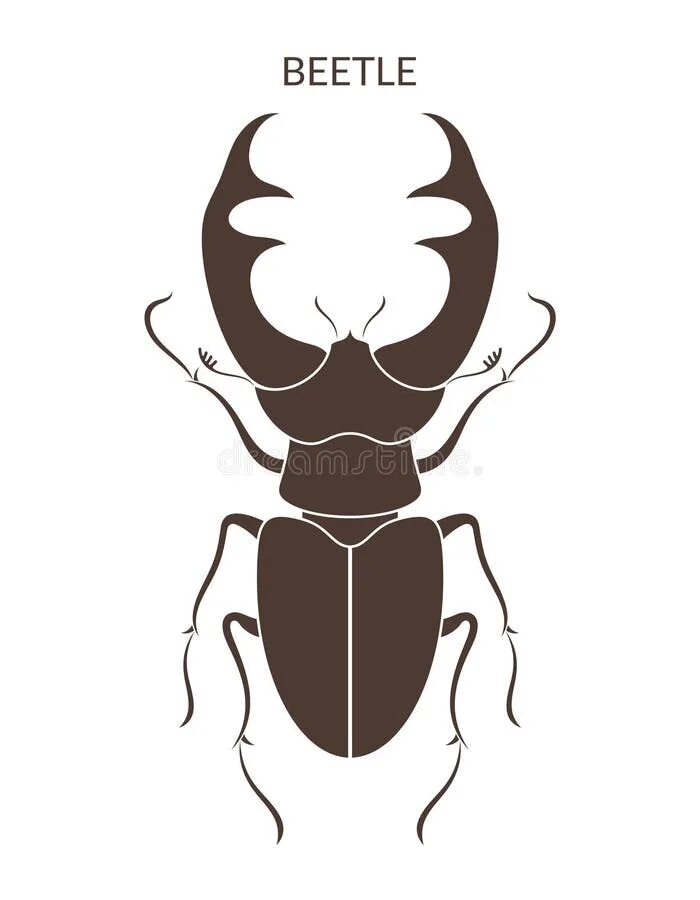 Stag Beetle Insect Black Silhouette Animal Stock Vector - Illustration of copysp