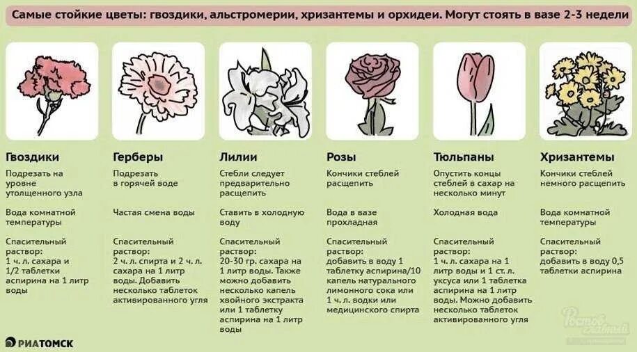 Какие цветы можно хранить