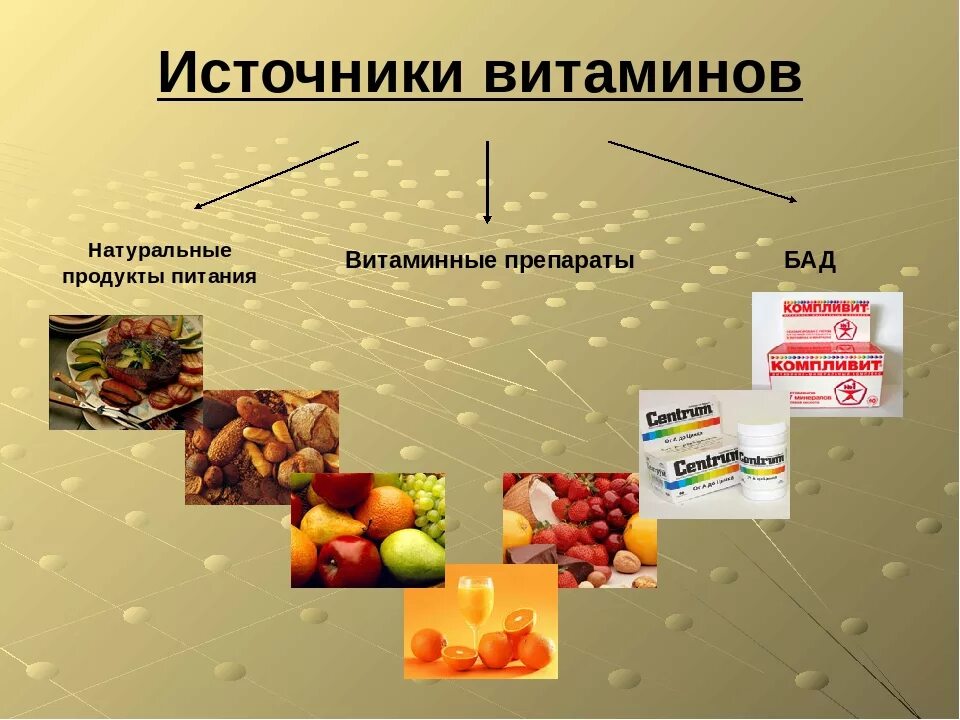 Основные источники растительного. Источники витамина с. Источники витаминов для человека. Основные источники витаминов. Основной источник витамина с.