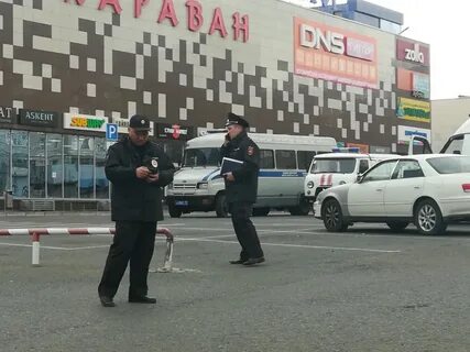 Новосити чита