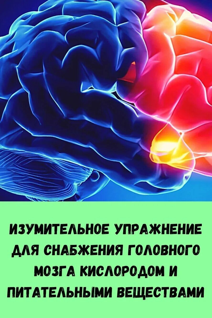 Упражнения для снабжения головного мозга кислородом. Снабжает кислородом головной мозг. Упражнение для поступления кислорода в мозг.