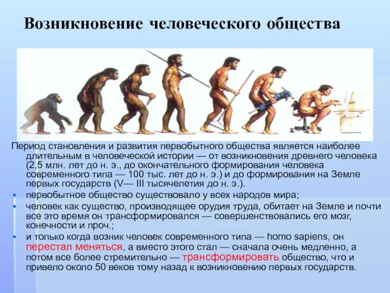 В ходе развития общества формируется. Эволюция человеческого общества. история человеческого общества. эпохи развития человека. период появления человека.