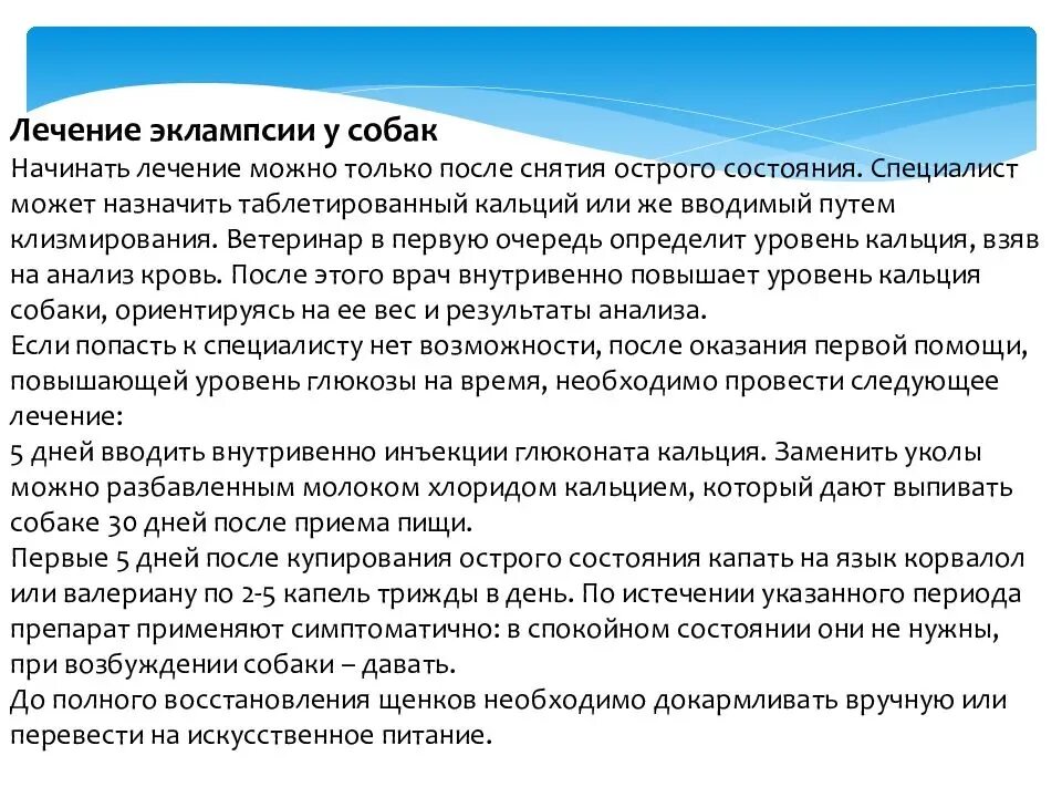 Пса после лечения. Послеродовая эклампсия у собак. Эклампсия у собак после родов. Эклампсия у беременных собак. Профилактика эклампсии у собак.