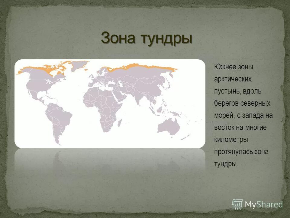 тундра растительные природные зоны. тундра безлесная зона. тундра холодная безлесная равнина. карта природных зон россии. безлесные территории россии.
