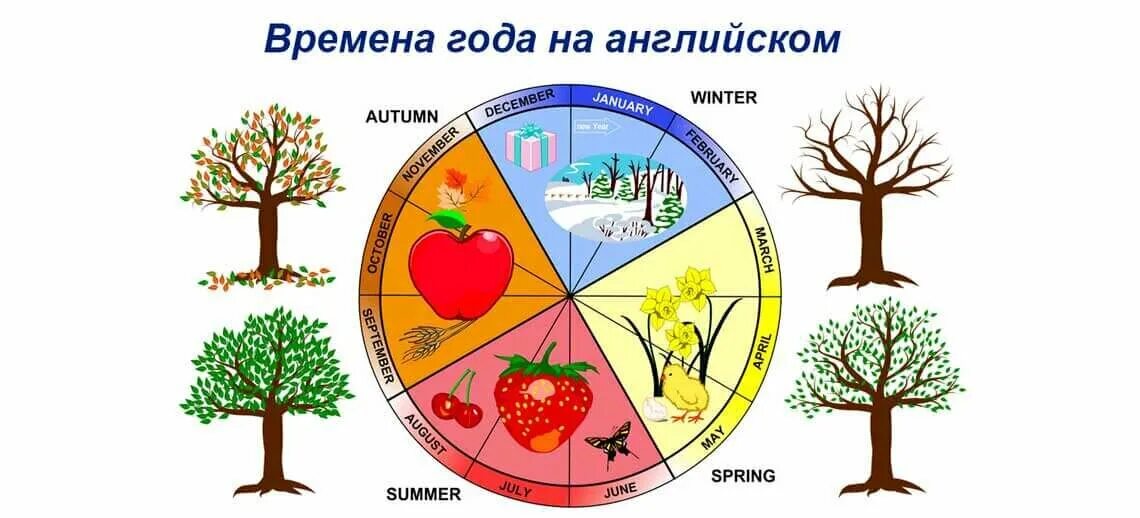 Время года 4 буквы