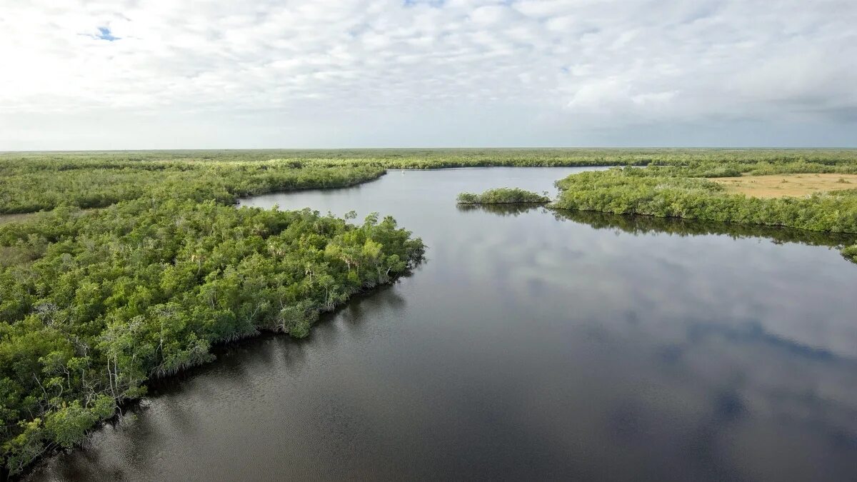 Национальный парк Эверглейдс на карте. Everglades Florida на белом фоне. Болота и низменности Луизианы и Флориды..